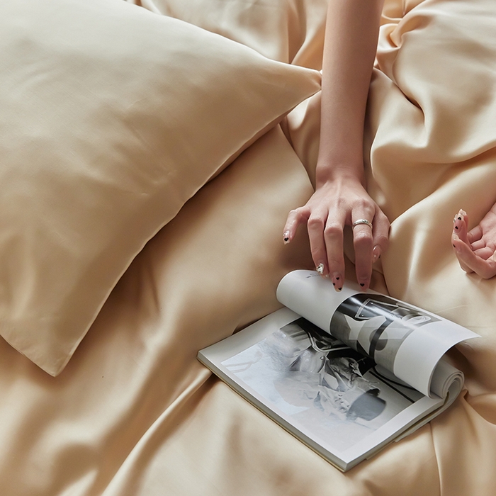 91家纺网 家纺一手货源 找家纺 威克凯丽 2025新款60支纯色兰精天丝四件套--风格二 沙茶色