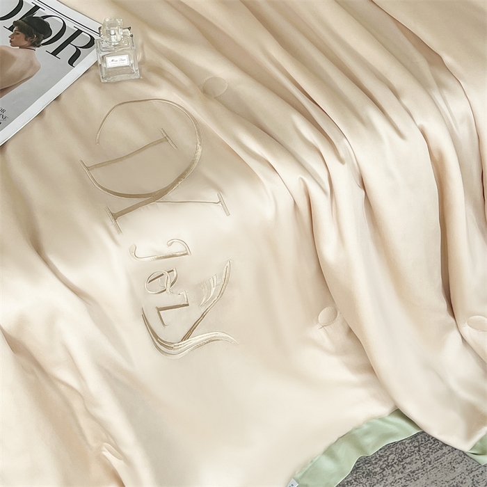 91家纺网 家纺一手货源 找家纺 蕾诺家纺 2025新款水洗真丝夏被纯色宽边夏被 水洗真丝-香槟金