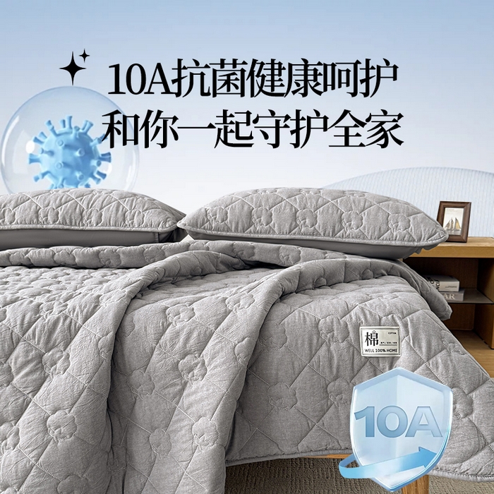 91家纺网 家纺一手货源 找家纺 西域种棉人·千百笠 2025新款A类抗菌里外全棉纯棉100%新疆棉花填充床护垫床褥子单人双人学生垫 夏洛软垫-灰