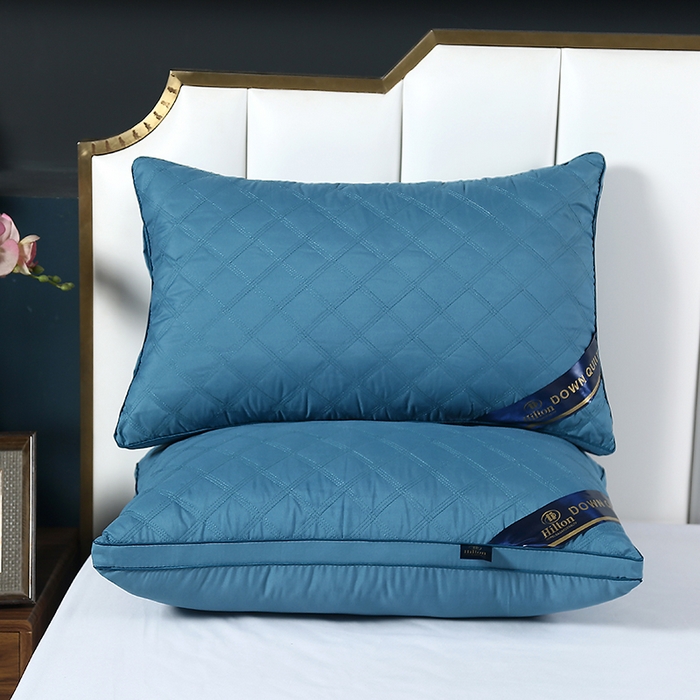 91家纺网 家纺一手货源 找家纺 （总）圣之寐 2025新款三线格磨毛羽丝绒枕枕头枕芯 