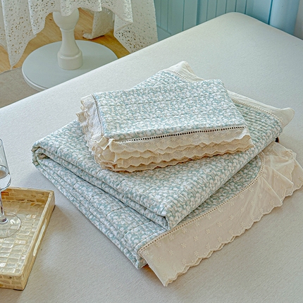 91家纺网 家纺一手货源 找家纺 （总）源舜家纺  2025新款云貂绒豆豆被冬被