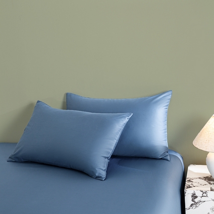 91家纺网 家纺一手货源 找家纺 （总）沃尔居 2025新款全棉长绒棉系列单枕套