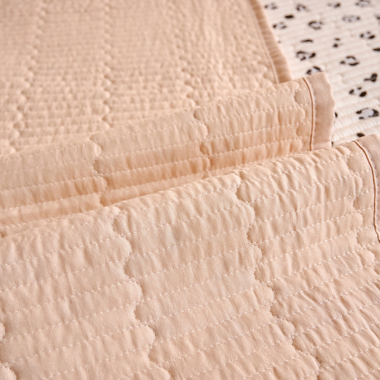 91家纺网 家纺一手货源 找家纺 X猫先生 2025小清新全棉学生床盖-新增花型 豹纹小熊