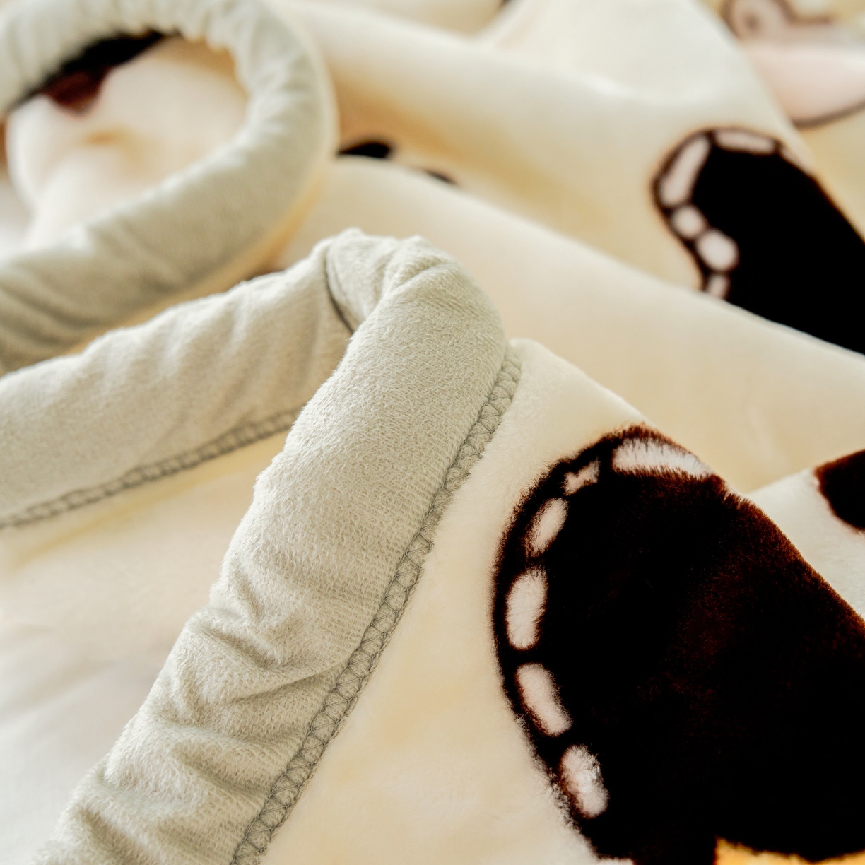 91家纺网 家纺一手货源 找家纺 法莱妮毛毯 2025新款双层加厚拉舍尔毛毯 婚庆 单双人 厂家直销可定制 彩虹牛