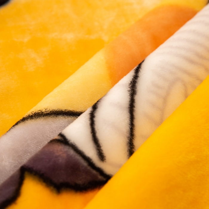 91家纺网 家纺一手货源 找家纺 法莱妮毛毯 2025新款双层加厚拉舍尔毛毯 婚庆 单双人 厂家直销可定制 精灵宝贝