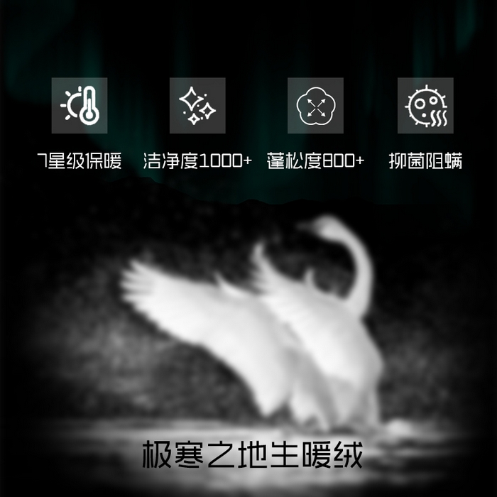 91家纺网 家纺一手货源 找家纺 岚司羽 2025新款北极95白鹅绒被-琳娜 琳娜-冰川白