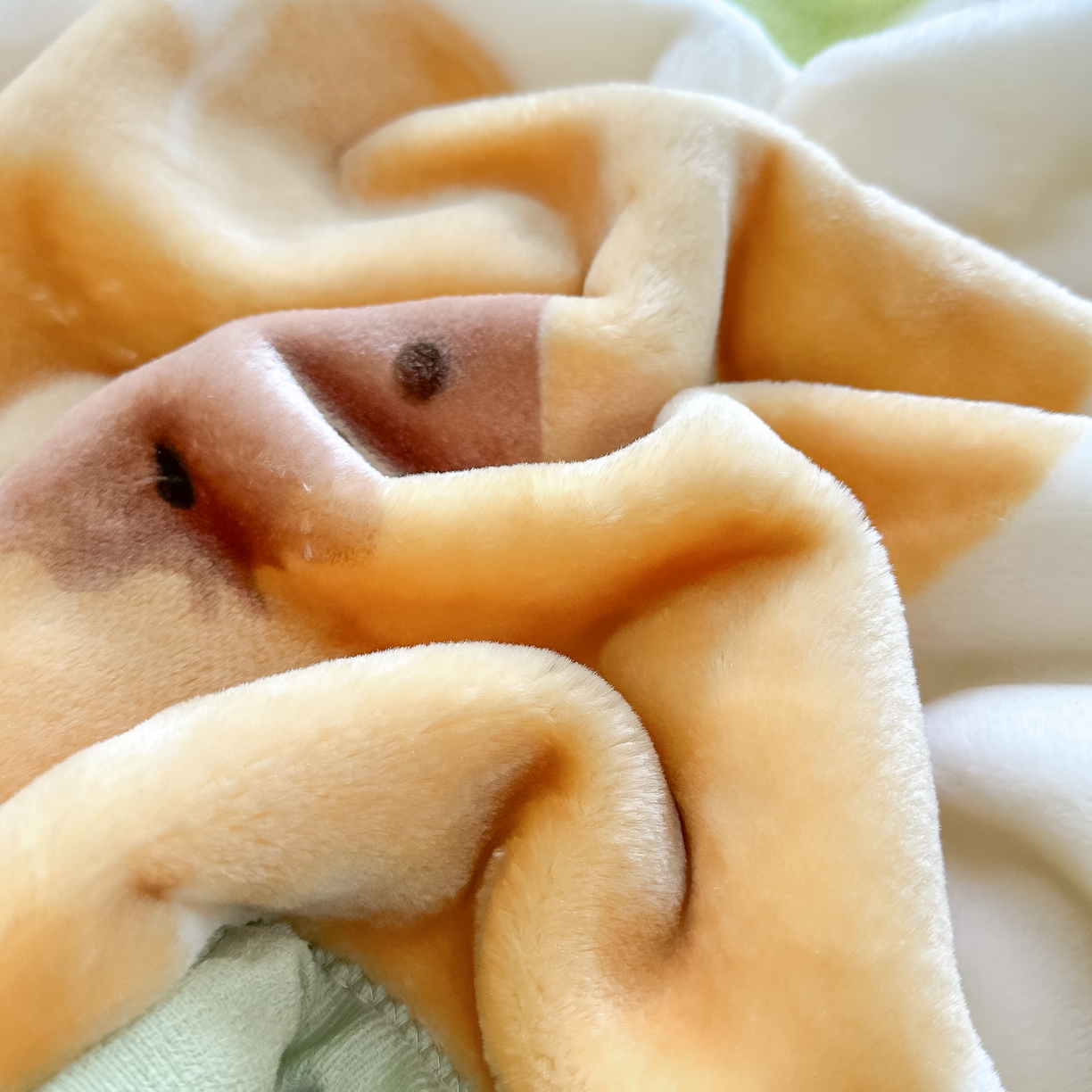 91家纺网 家纺一手货源 找家纺 法莱妮毛毯 2025新款双层加厚拉舍尔毛毯 婚庆 单双人 厂家直销可定制 向阳花开