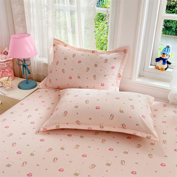 梦舒羽 2025新款云感双层纱印花枕套宿舍单人枕芯套一对装枕头套 花田小兔