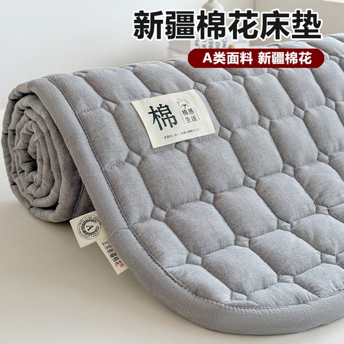 梵朴 2025新款A类无印风水洗棉夹棉新疆棉花宿舍学生床垫床护垫 深灰