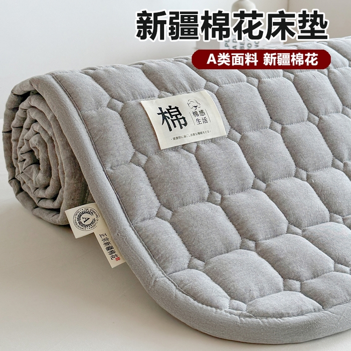梵朴 2025新款A类无印风水洗棉夹棉新疆棉花宿舍学生床垫床护垫 浅灰