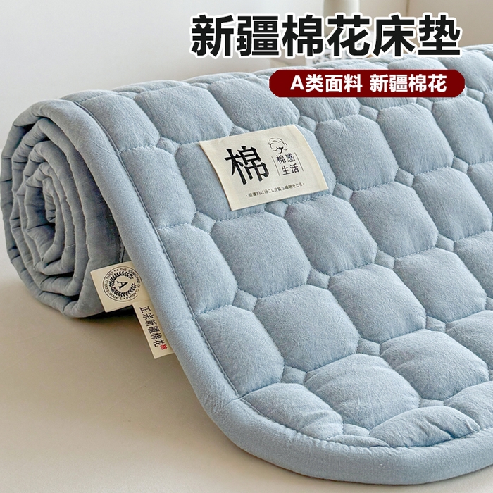 梵朴 2025新款A类无印风水洗棉夹棉新疆棉花宿舍学生床垫床护垫 天空蓝