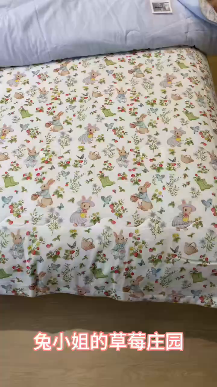 91家纺网 家纺一手货源 找家纺 （总）月夏 2025新款卡通夏被