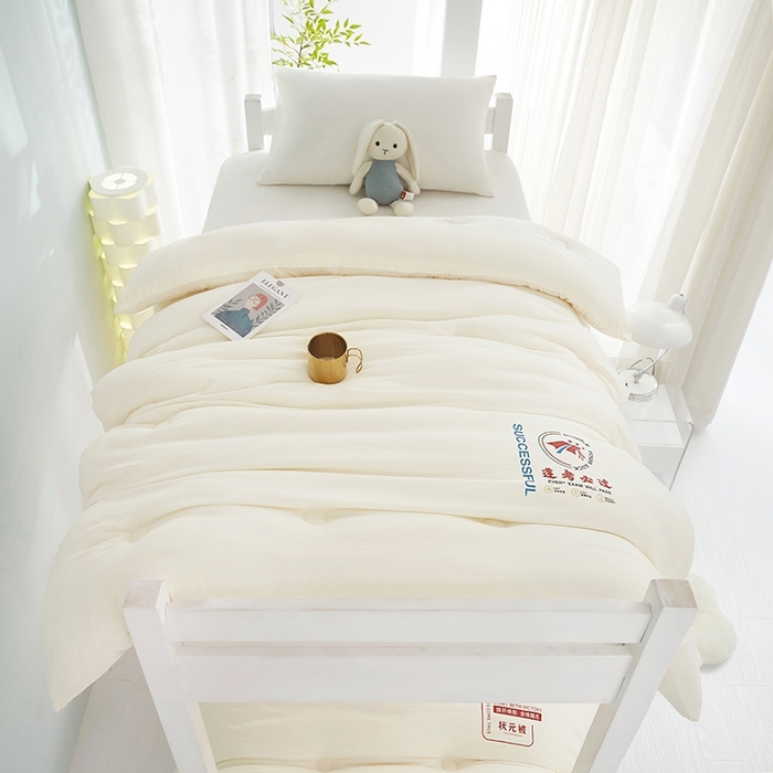 91家纺网 家纺一手货源 找家纺 恒科家纺 2025新款单品单被学生季大豆被春秋被四季被薄被冬被学生被子母被被子被芯夏被 山峰-逢考必过