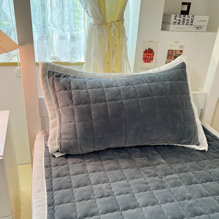 91家纺网 家纺一手货源 找家纺 （总）川悦生活2025 新款A类印花牛奶绒床垫加厚绒保暖床护垫