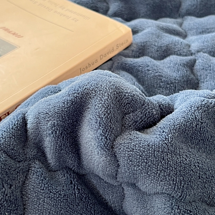 91家纺网 家纺一手货源 找家纺 川悦生活2025 新款A类印花牛奶绒床垫加厚绒保暖床护垫 吉木-深蓝