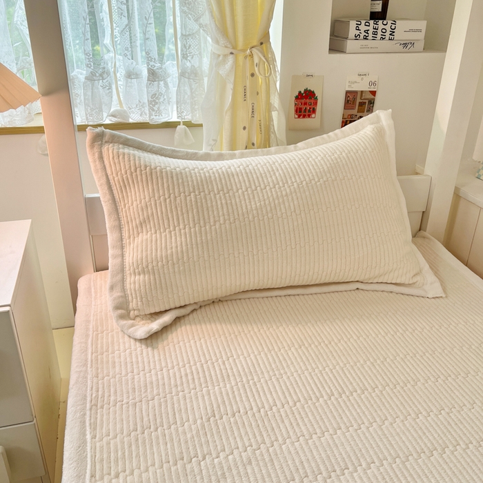 91家纺网 家纺一手货源 找家纺 川悦生活2025 新款A类印花牛奶绒床垫加厚绒保暖床护垫 晴空-奶茶