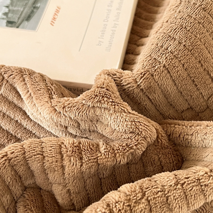 91家纺网 家纺一手货源 找家纺 川悦生活2025 新款A类印花牛奶绒床垫加厚绒保暖床护垫 晴空-暖咖