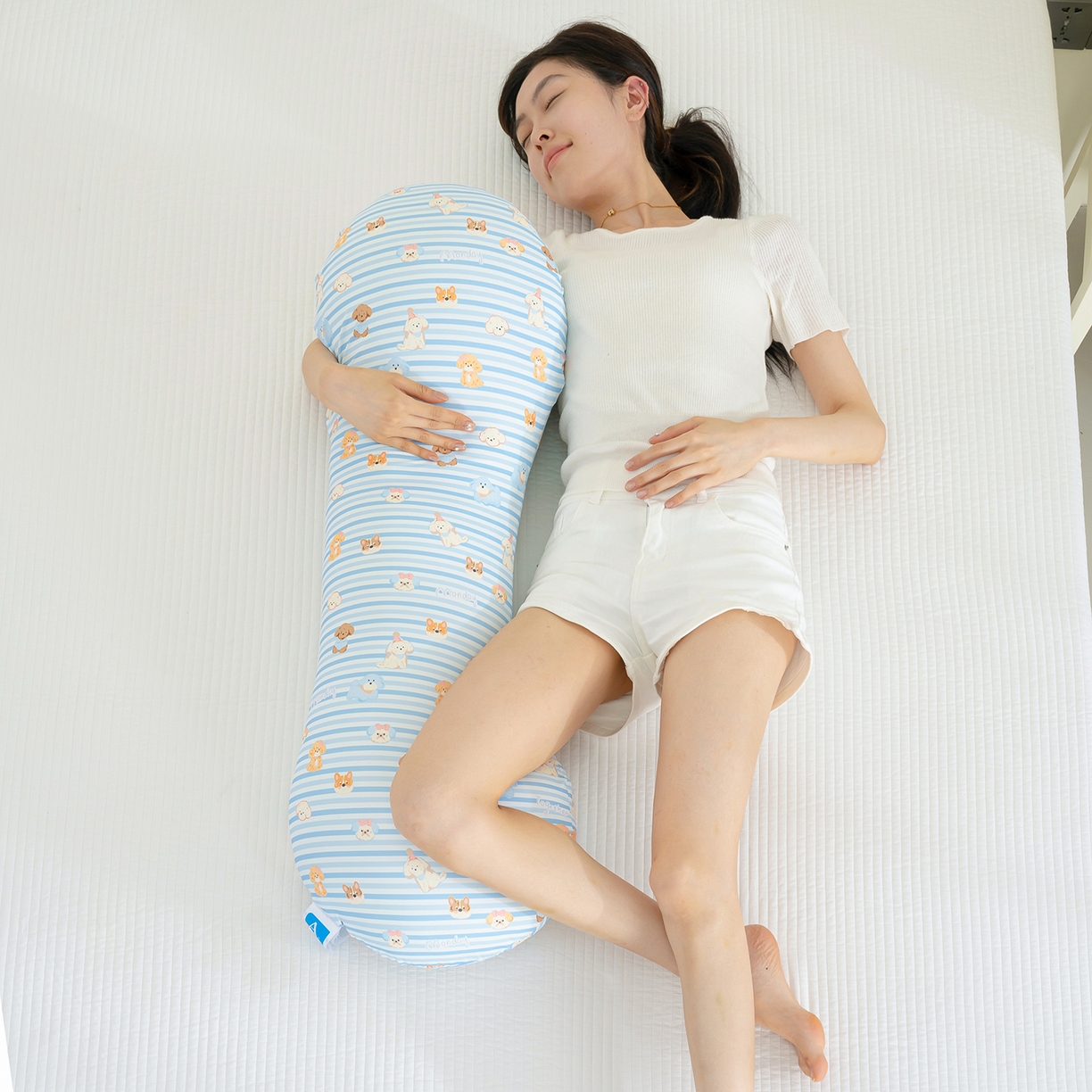 91家纺网 家纺一手货源 找家纺 乐坊 2025新款冰皮骨头睡觉抱枕 冰皮小狗 40x110x20cm/只