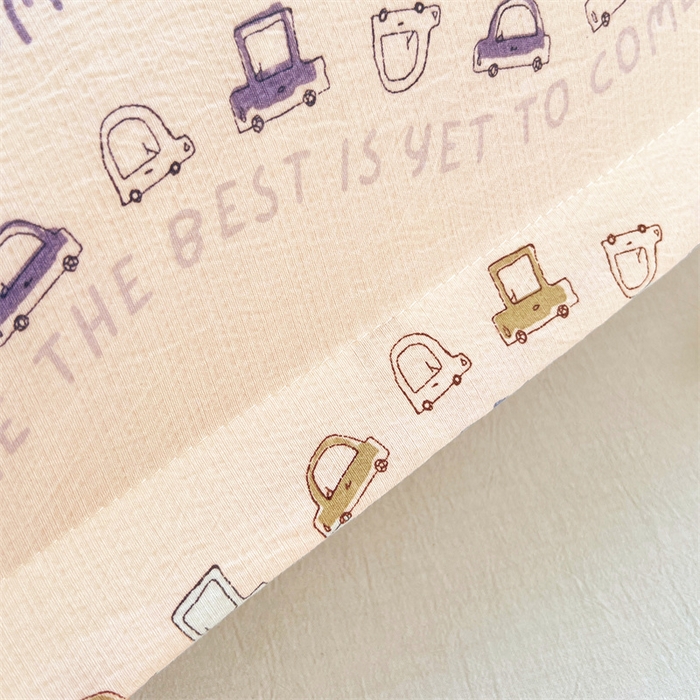 91家纺网 家纺一手货源 找家纺 梦舒羽 2025新款云感双层纱印花双人枕套情侣1.5m枕芯套1.8床枕头 汽车世界