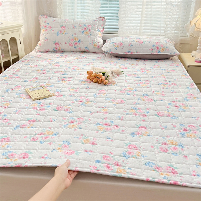 梦舒羽 2025新款云感双层纱夹棉床褥床护垫床垫保护垫学生宿舍专用三件套 朝花夕拾