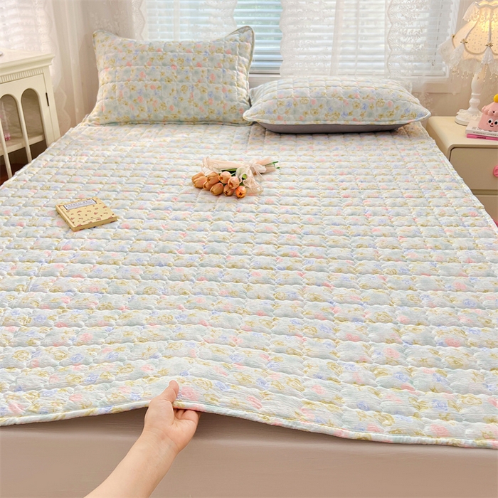 梦舒羽 2025新款云感双层纱夹棉床褥床护垫床垫保护垫学生宿舍专用三件套 春日初见