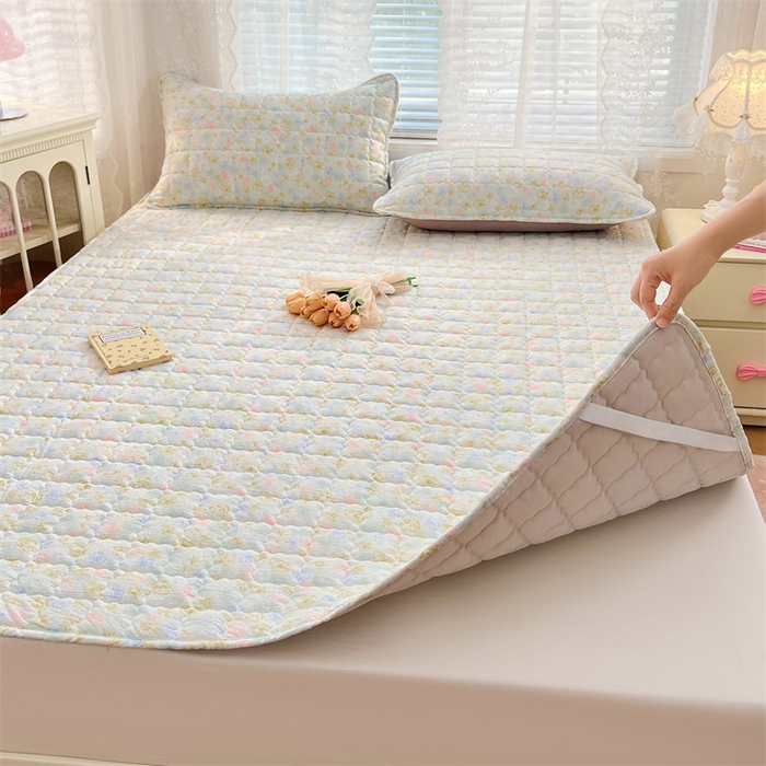 91家纺网 家纺一手货源 找家纺 圣比熊 2025新款云感双层纱夹棉床褥床护垫床垫保护垫学生宿舍专用三件套 春日初见