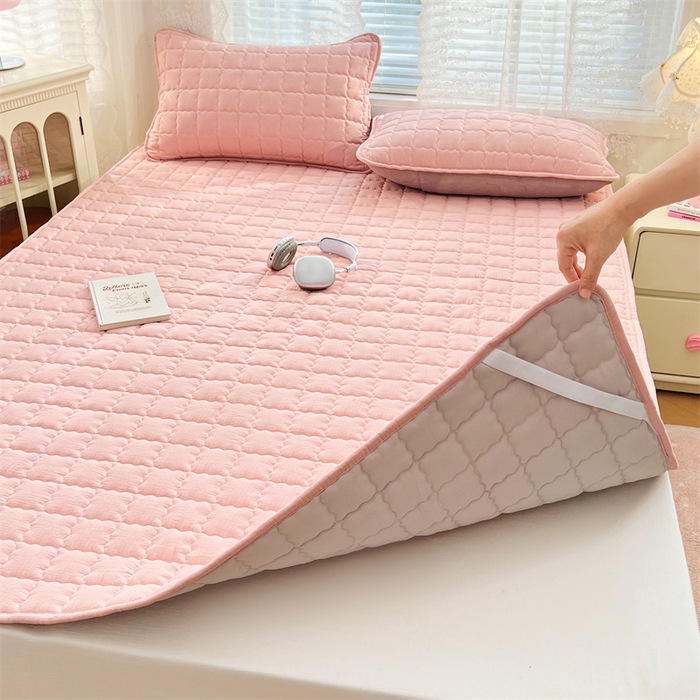 91家纺网 家纺一手货源 找家纺 圣比熊 2025新款云感双层纱夹棉床褥床护垫床垫保护垫学生宿舍专用三件套 告白粉