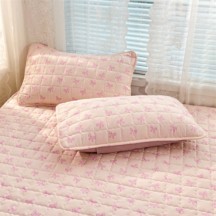 梦舒羽 2025新款云感双层纱夹棉枕套宿舍单人枕芯套一对装加厚枕头套 少女物语