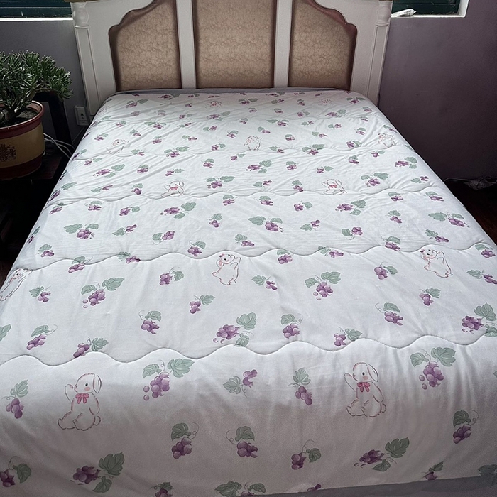 91家纺网 家纺一手货源 找家纺 （总）歌历斯家纺 2025新款凉感丝夏被清仓亏本处理印花夏被学生夏被被子被芯颜色随机