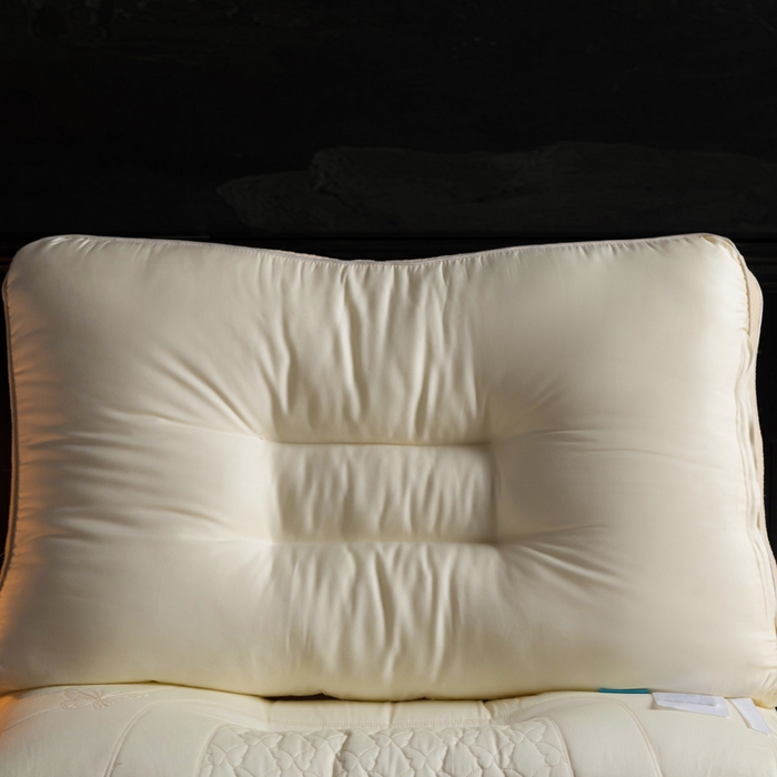 91家纺网 家纺一手货源 找家纺 慕尚家纺 2025新款简约天丝棉绣花枕头枕芯 蝴蝶蚕丝枕 48x74cm/只