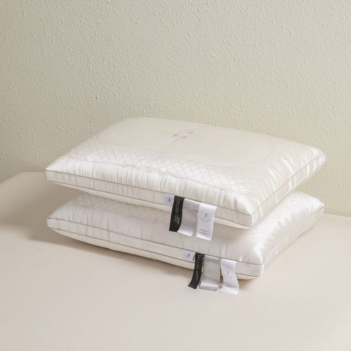 91家纺网 家纺一手货源 找家纺 圣之寐 2025新款蚕丝刺绣养 颜枕枕头枕芯 立体高枕