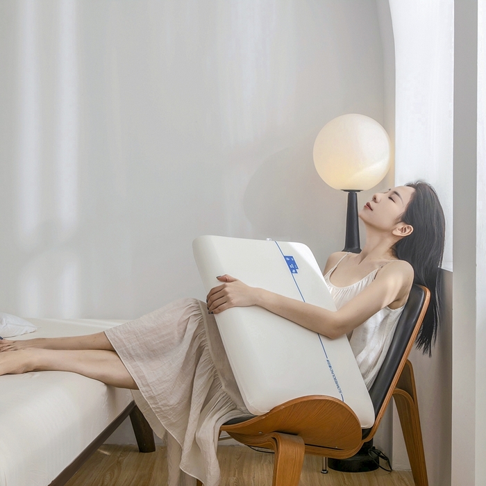 91家纺网 家纺一手货源 找家纺 星芯合家纺 2025新款深睡慢回弹记忆枕枕头枕芯-单芯 单芯 42x70x6cm/只