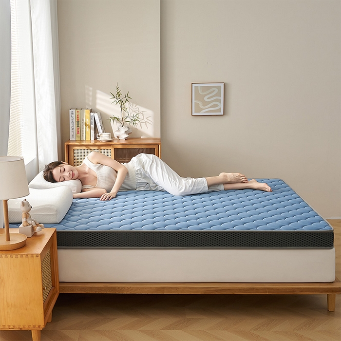 91家纺网 家纺一手货源 找家纺 锦丝钰床垫 2025春夏新款乳胶记忆棉床垫-大床 立体-月光蓝