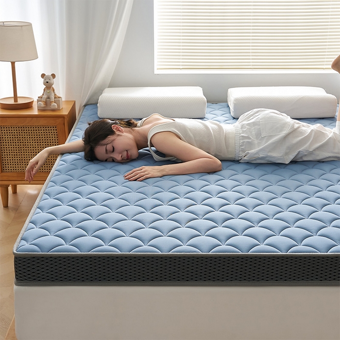 91家纺网 家纺一手货源 找家纺 锦丝钰床垫 2025春夏新款乳胶记忆棉床垫-大床 立体-月光蓝