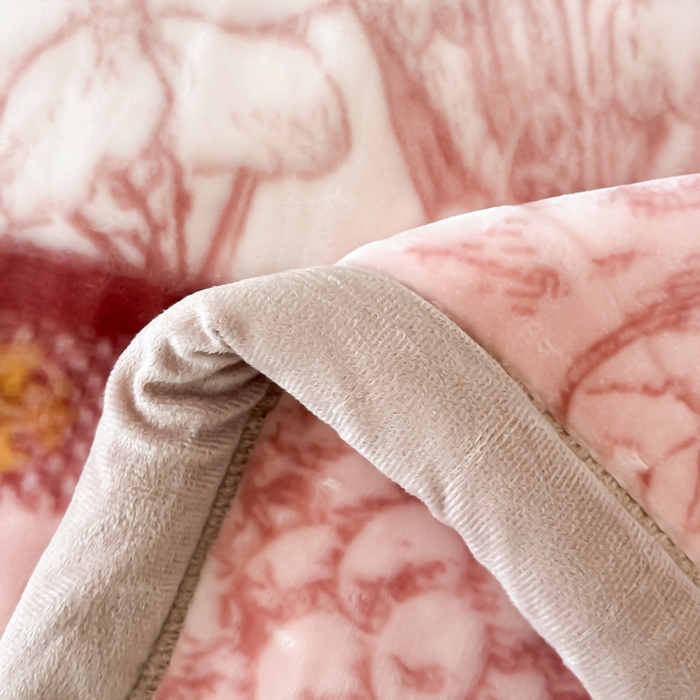 91家纺网 家纺一手货源 找家纺 法莱妮毛毯 2025新款A类双层加厚拉舍尔天丝超柔云毯万紫千红