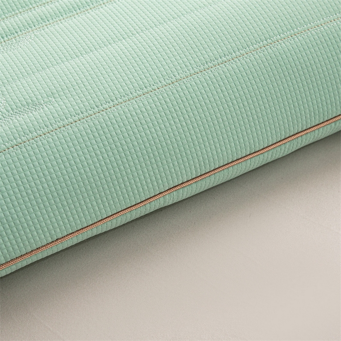 91家纺网 家纺一手货源 找家纺 圣之寐   2025新款荞皇纯荞麦枕 绿色48*74