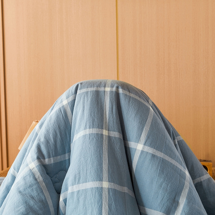 91家纺网 家纺一手货源 找家纺 熙宴家纺 2025新款无印风100%新疆棉花被学生床被子被芯 海蓝中格