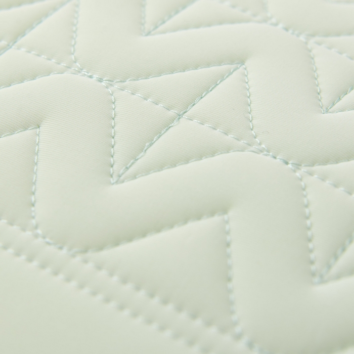 91家纺网 家纺一手货源 找家纺 蝶飞舞 2025新款刺绣冰丝凉感枕头枕芯 绿色 面包枕48*74cm/800g