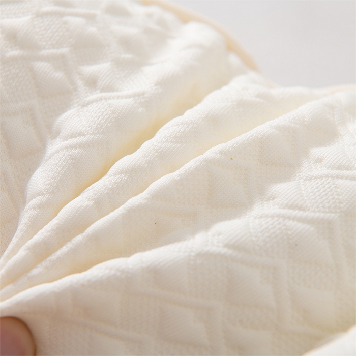 91家纺网 家纺一手货源 找家纺 蝶飞舞 2025新款小恐龙针织舒适款儿童学生款枕头枕芯 40*60cm 小恐龙