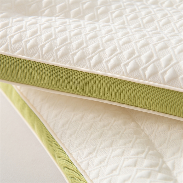 91家纺网 家纺一手货源 找家纺 （总）蝶飞舞 2025新款小恐龙针织舒适款儿童学生款枕头枕芯