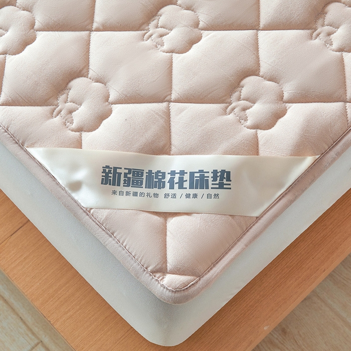 91家纺网 家纺一手货源 找家纺 西域种棉人·千百笠 2025新款A类抗菌100%新疆棉花填充夹棉床垫床护垫软垫床褥子单人双人学生垫 娴雅软垫-咖
