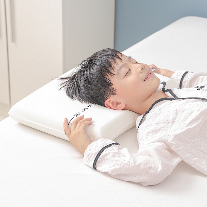 91家纺网 家纺一手货源 找家纺 （总）蝶飞舞 2025新款零压记忆枕枕头枕芯慢回弹枕