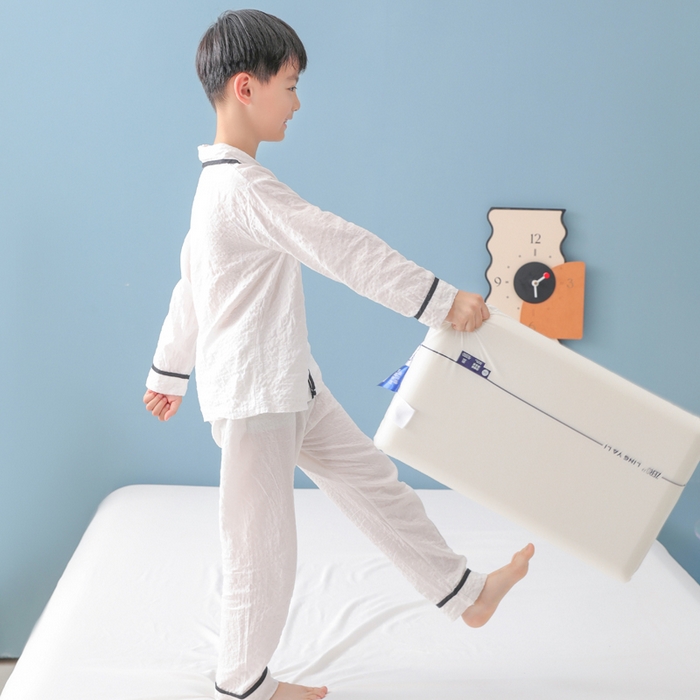 91家纺网 家纺一手货源 找家纺 （总）蝶飞舞 2025新款零压记忆枕枕头枕芯慢回弹枕