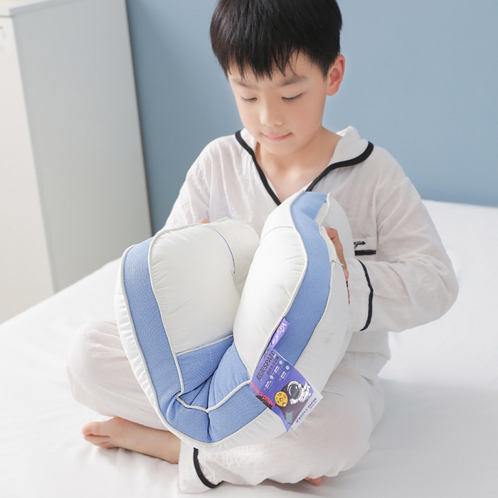 91家纺网 家纺一手货源 找家纺 蝶飞舞 2025新款spa航空太仓按摩枕头枕芯 航天spa学生款1100g 单只