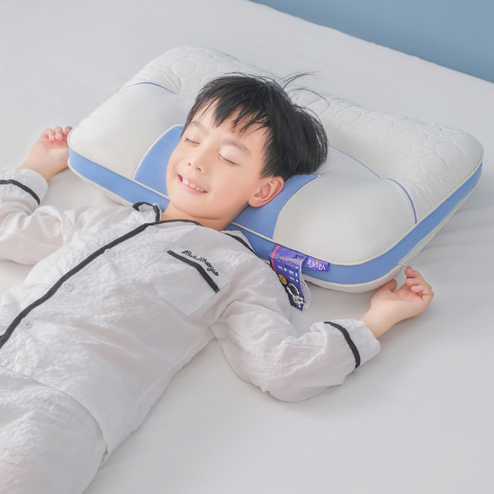 91家纺网 家纺一手货源 找家纺 （总）蝶飞舞 2025新款spa航空太仓按摩枕头枕芯