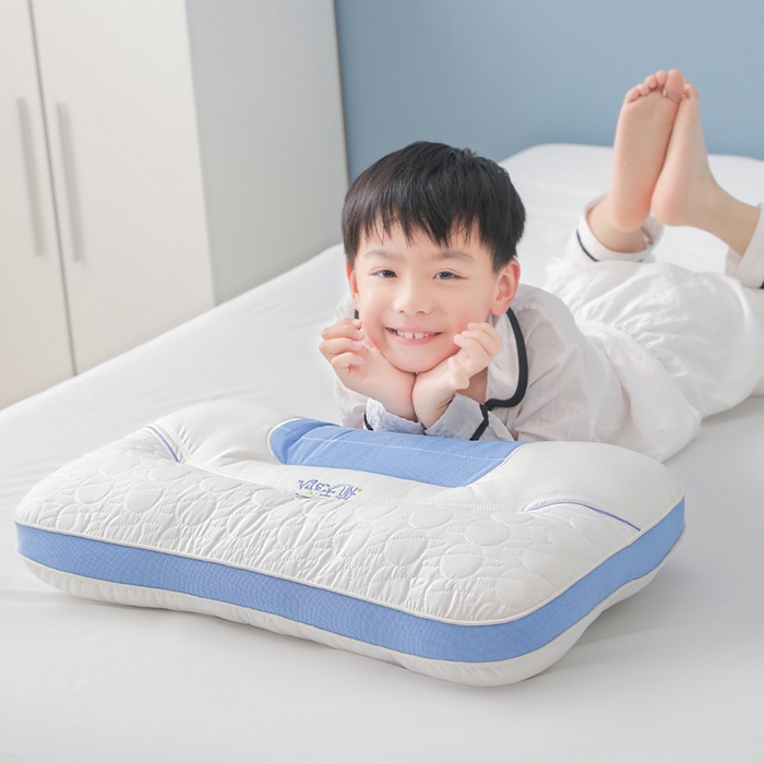 91家纺网 家纺一手货源 找家纺 蝶飞舞 2025新款spa航空太仓按摩枕头枕芯 航天spa学生款1100g 单只