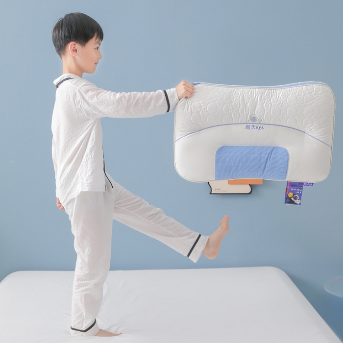 蝶飞舞 2025新款spa航空太仓按摩枕头枕芯 航天spa学生款1000g 单只
