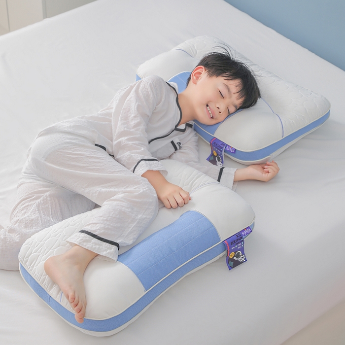 91家纺网 家纺一手货源 找家纺 蝶飞舞 2025新款spa航空太仓按摩枕头枕芯 航天spa学生款1000g 单只