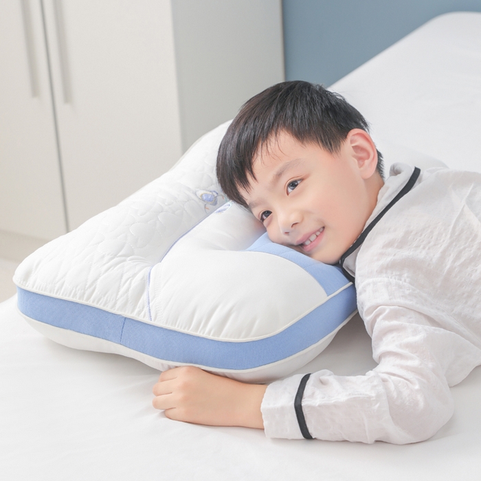 91家纺网 家纺一手货源 找家纺 蝶飞舞 2025新款spa航空太仓按摩枕头枕芯 航天spa学生款900g 单只