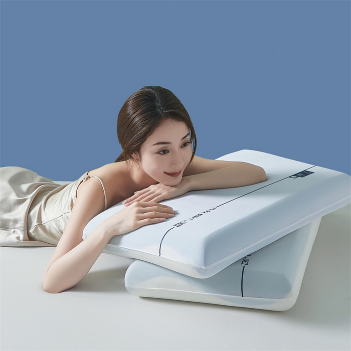 91家纺网 家纺一手货源 找家纺 （总）蝶飞舞 2025新款【源头厂家】零压记忆枕枕头枕芯慢回弹枕 内芯双拼聚氨酯